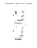 PHARMACEUTICAL COMPOSITION FOR TREATING CANCER USING CARBONATE APATITE     NANOPARTICLES diagram and image