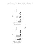 PHARMACEUTICAL COMPOSITION FOR TREATING CANCER USING CARBONATE APATITE     NANOPARTICLES diagram and image