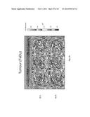 PHARMACEUTICAL COMPOSITION FOR TREATING CANCER USING CARBONATE APATITE     NANOPARTICLES diagram and image