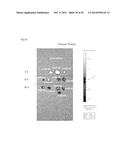 PHARMACEUTICAL COMPOSITION FOR TREATING CANCER USING CARBONATE APATITE     NANOPARTICLES diagram and image