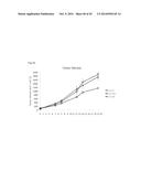 PHARMACEUTICAL COMPOSITION FOR TREATING CANCER USING CARBONATE APATITE     NANOPARTICLES diagram and image