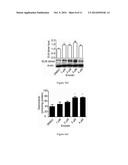 DRUG SCREENING METHOD, DRUGS PROMOTING EXTRACELLULAR MATRIX CROSSLINKING     AND THE APPLICATIONS THEREOF diagram and image