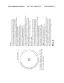 MUTATION DETECTION IN HIGHLY HOMOLOGOUS GENOMIC REGIONS diagram and image