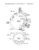 GENOTOXICITY TESTING diagram and image