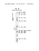 GENOTOXICITY TESTING diagram and image