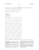 ANTIBODIES THAT BIND TO LYSYL OXIDASE-LIKE 2 (LOXL2) AND METHODS OF USE     THEREFOR diagram and image