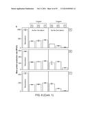 Methods and Compositions for Controlling Gene Expression by RNA Processing diagram and image