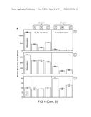 Methods and Compositions for Controlling Gene Expression by RNA Processing diagram and image