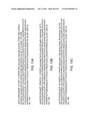 Methods and Compositions for Controlling Gene Expression by RNA Processing diagram and image