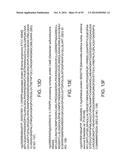 Methods and Compositions for Controlling Gene Expression by RNA Processing diagram and image