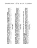 Methods and Compositions for Controlling Gene Expression by RNA Processing diagram and image