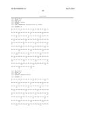 Methods and Compositions for Controlling Gene Expression by RNA Processing diagram and image