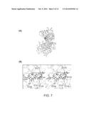 PMST1 MUTANTS FOR CHEMOENZYMATIC SYNTHESIS OF SIALYL LEWIS X COMPOUNDS diagram and image