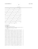 PMST1 MUTANTS FOR CHEMOENZYMATIC SYNTHESIS OF SIALYL LEWIS X COMPOUNDS diagram and image