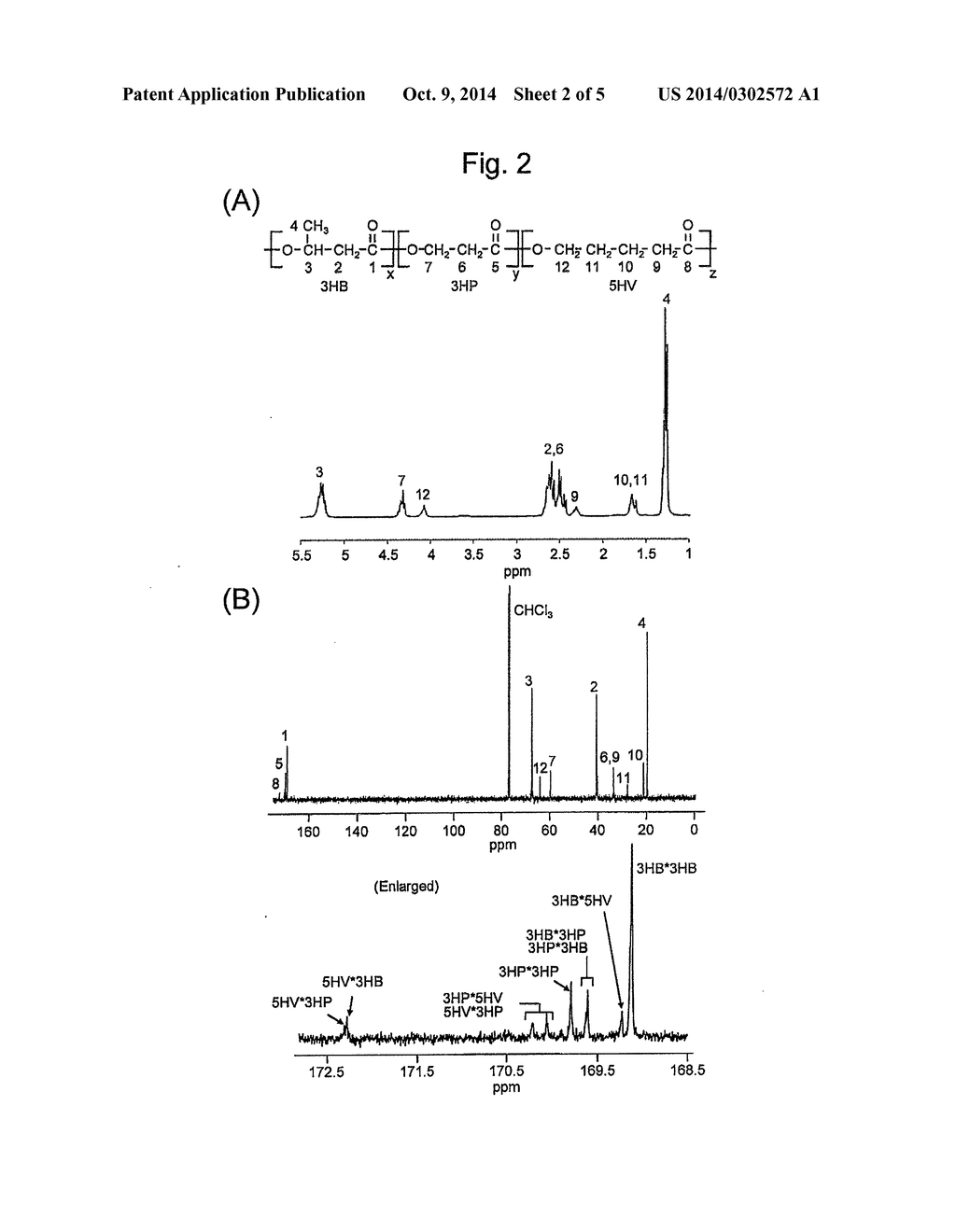 METHOD FOR PRODUCING POLYHYDROXYALKANOATE HAVING LONG MAIN CHAIN STRUCTURE - diagram, schematic, and image 03