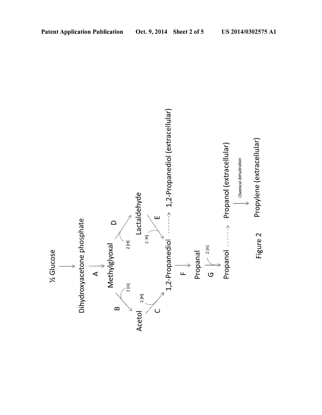 MICROORGANISMS AND METHODS FOR ENHANCING THE AVAILABILITY OF REDUCING     EQUIVALENTS IN THE PRESENCE OF METHANOL, AND FOR PRODUCING     1,2-PROPANEDIOL, n-PROPANOL, 1,3-PROPANEDIOL, OR GLYCEROL RELATED THERETO - diagram, schematic, and image 03