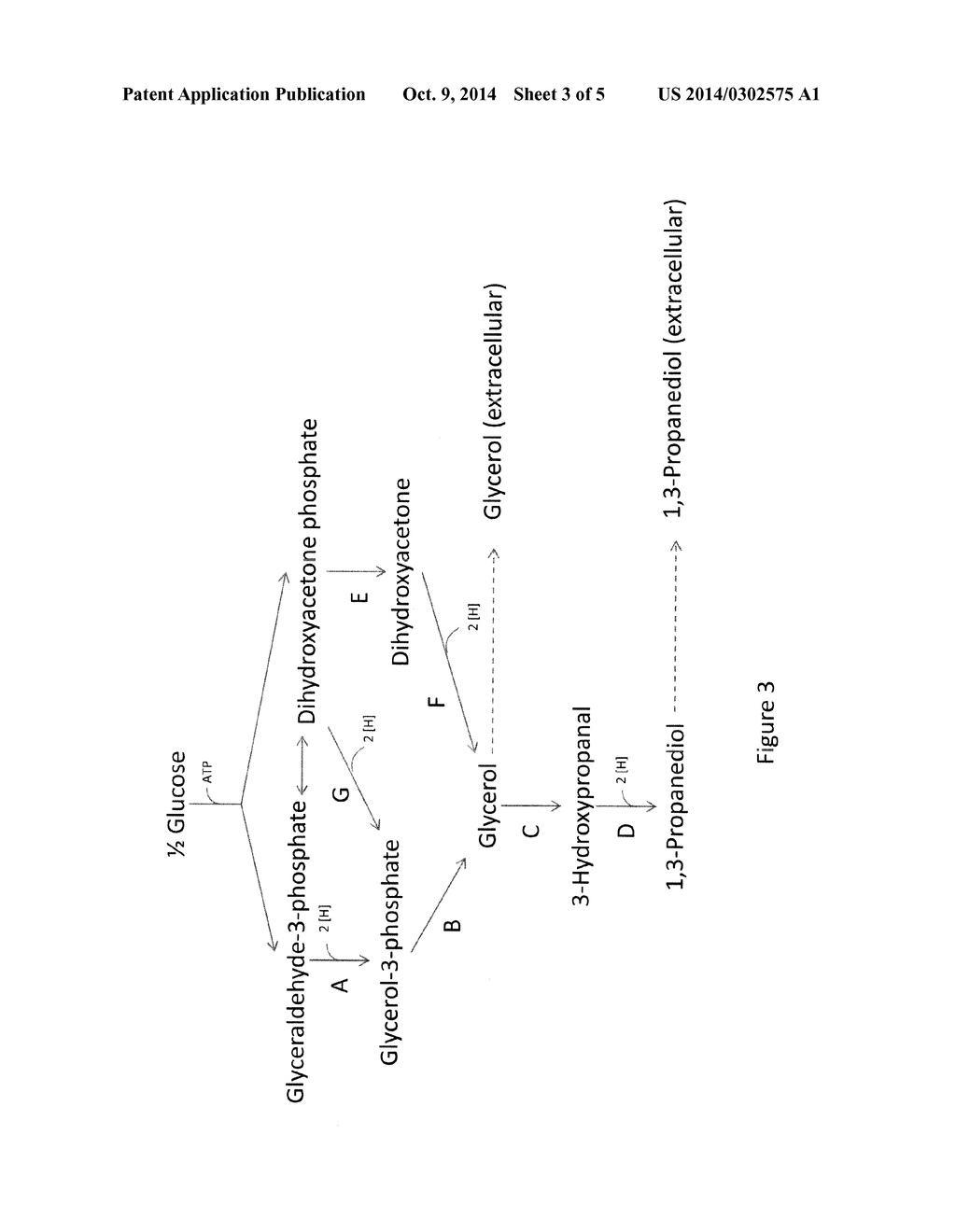 MICROORGANISMS AND METHODS FOR ENHANCING THE AVAILABILITY OF REDUCING     EQUIVALENTS IN THE PRESENCE OF METHANOL, AND FOR PRODUCING     1,2-PROPANEDIOL, n-PROPANOL, 1,3-PROPANEDIOL, OR GLYCEROL RELATED THERETO - diagram, schematic, and image 04