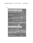 Cell Culture Assay diagram and image