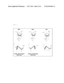 CHIMERIC DOUBLE-STRANDED NUCLEIC ACID diagram and image