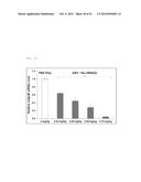 CHIMERIC DOUBLE-STRANDED NUCLEIC ACID diagram and image