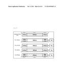 CHIMERIC DOUBLE-STRANDED NUCLEIC ACID diagram and image