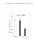 CHIMERIC DOUBLE-STRANDED NUCLEIC ACID diagram and image