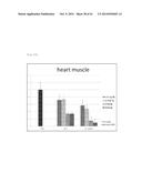 CHIMERIC DOUBLE-STRANDED NUCLEIC ACID diagram and image