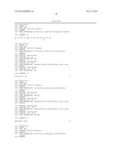 CHIMERIC DOUBLE-STRANDED NUCLEIC ACID diagram and image