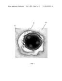 HIGH RESOLUTION CHARACTERIZATION OF BIOLOGICAL MATRICES diagram and image