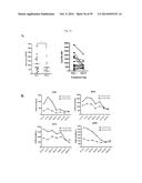 USE OF INHIBITORS OF BRUTON S TYROSINE KINASE (BTK) diagram and image