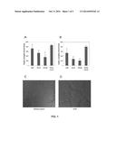 Sparstolonin B Based Pharmaceutical Agent to Treat Pathological     Angiogensis diagram and image