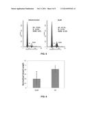 Sparstolonin B Based Pharmaceutical Agent to Treat Pathological     Angiogensis diagram and image