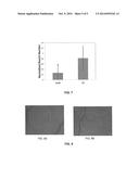 Sparstolonin B Based Pharmaceutical Agent to Treat Pathological     Angiogensis diagram and image