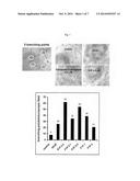 Use of EDG Receptor Binding Agents in Cancer diagram and image