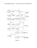 Small Molecule Compounds for the Control of Nematodes diagram and image