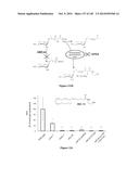 Small Molecule Compounds for the Control of Nematodes diagram and image