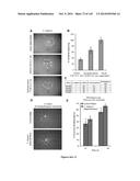 Small Molecule Compounds for the Control of Nematodes diagram and image