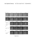 Small Molecule Compounds for the Control of Nematodes diagram and image