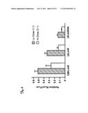 REDUCTION OF OFF-TARGET RNA INTERFERENCE TOXICITY diagram and image