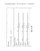 REDUCTION OF OFF-TARGET RNA INTERFERENCE TOXICITY diagram and image