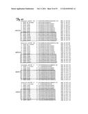 REDUCTION OF OFF-TARGET RNA INTERFERENCE TOXICITY diagram and image