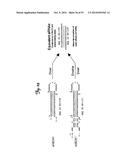 REDUCTION OF OFF-TARGET RNA INTERFERENCE TOXICITY diagram and image