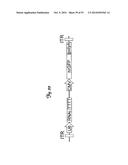 REDUCTION OF OFF-TARGET RNA INTERFERENCE TOXICITY diagram and image