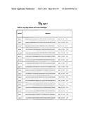 REDUCTION OF OFF-TARGET RNA INTERFERENCE TOXICITY diagram and image