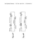 REDUCTION OF OFF-TARGET RNA INTERFERENCE TOXICITY diagram and image