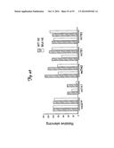 REDUCTION OF OFF-TARGET RNA INTERFERENCE TOXICITY diagram and image