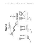 Methods and Apparatuses for Noninvasive Determinations of Analytes diagram and image