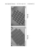 Non-Invasive Segmentable Three-Dimensional Microelectrode Array Patch For     Neurophysiological Diagnostics And Therapeutic Stimulation diagram and image