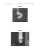 DELIVERY OF MATERIALS INTO MARGINS OF TISSUE CAVITIES diagram and image