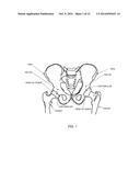 METHOD AND APPARATUS FOR DETERMINING THE ORIENTATION AND/OR POSITION OF AN     OBJECT DURING A MEDICAL PROCEDURE diagram and image